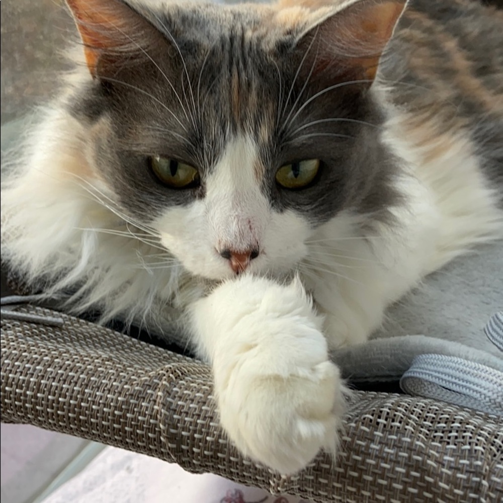 Meet your Posher, Fleur